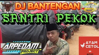 DJ BANTENGAN SANTRI PEKOK BY remixer arpedamproject kelvinbocill santripekok [upl. by Lemire]