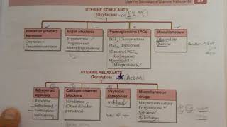 33Oxytocics and tocolytics classification [upl. by Lozano577]