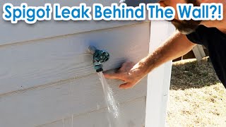 Fix Leak behind the Siding at the Outdoor Faucet  Spigot and Sillcock Replacement with Hose Hanger [upl. by Nimrahc]