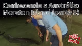 Conhecendo a Austrália Alimentando golfinhos em Moreton Island parte 3 [upl. by Odnalor]