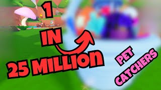 I Hatched an EXTREMELY Rare Secret Pet in Roblox Pet Catchers [upl. by Herzberg]