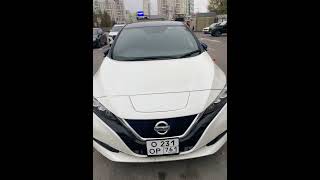 Вторая электричка ZE1 Семья подсела на электромобили nissanleaf ze1 [upl. by Anaiek]