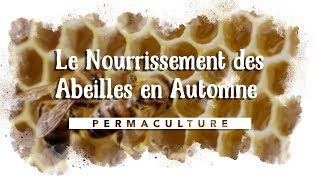 Le Nourrissement des Abeilles en Automne [upl. by Ynahpets]