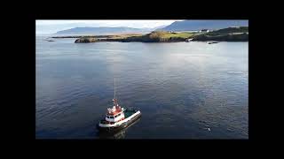 Sailing into Iceland  Reykjavik [upl. by Narcissus39]