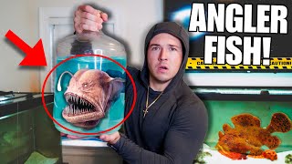 BUYING Creepy ANGLER FISH OFF THE WEB For My SALTWATER AQUARIUM [upl. by Cirtemed]