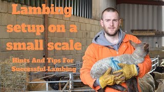 Lambing On A Small Scale Hints And Tips For Successful Lambing [upl. by Tnerual388]