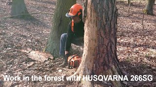 Work in the forest with Husqvarna 266 SG [upl. by Karil]