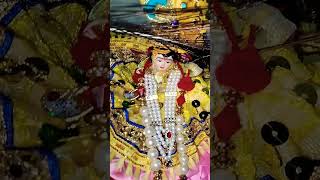 Dole rai kishori dole Rasbihari sorts youtubeshorts vrindavan krishna trending radhakrishna [upl. by Althea]