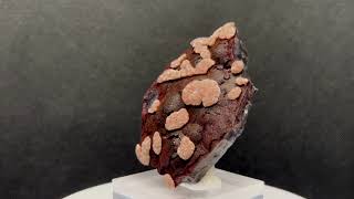 RHODOCHROSITE GOETHITE 1M426 [upl. by Romeu636]