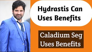 Hydrastis can q uses  Caldium Seg  Dr Sherazi Homeopathic [upl. by Ahsaenat]