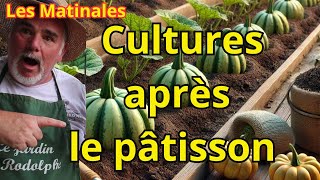 Après le pâtisson que planter  Astuces pour un potager productif toute l’année [upl. by Sarazen]