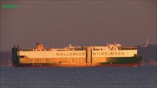 Evening glow Vehicle Carrier ISOLDE Wallenius Wilhelmsen Flag SWEDEN IMO 8321345 [upl. by Ecart]