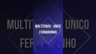 MULTITRACK GRATIS  UNICO  FERNANDINHO  LINK NOS COMENTARIOS [upl. by Ianej]