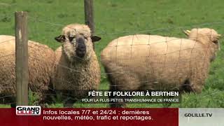 A Berthen la plus petite transhumance de France [upl. by Stranger]