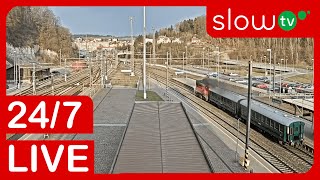 🔴 LIVE Trains at Oustecké nádraží  247 LIVE [upl. by Palgrave628]