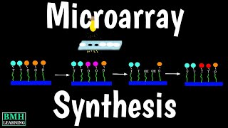 DNA Microarray Synthesis  DNA Microarray Fabrication [upl. by Eerpud]