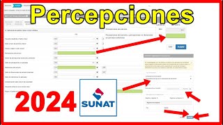 💻 Cómo Importar Percepciones y Retenciones del IGV en Declara Fácil SUNAT 2024 🚀 ¡Guía Completa [upl. by Beker223]