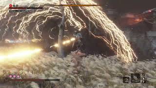 Sekiro  Isshin The Sword Saint  No Damage [upl. by Nnylirret]