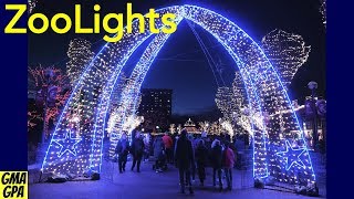 ZooLights Christmas Light Display At The Lincoln Park Zoo In Chicago  Lights Animals amp Carousel [upl. by Berg990]