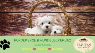 Hundekekse Selber Backen  Die gesündesten Rezepte für deinen Hund [upl. by Coad633]