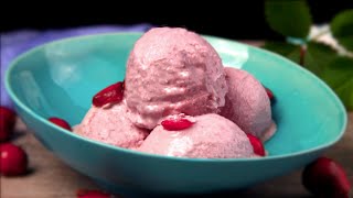 Vegan Sugar free Ice Cream Delicious and creamy  Naturally Healthy  Zelna Schmidt [upl. by Goodrow801]