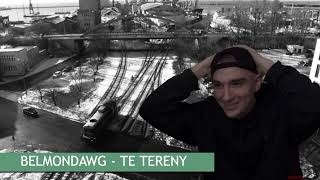 REMSUA  BELMONDAWG  TE TERENY AI COVER [upl. by Jain]