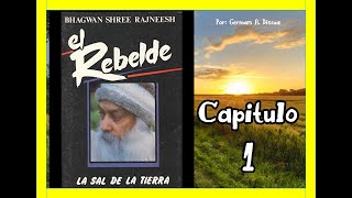 AUDIOLIBRO EL REBELDE CAP 1 [upl. by Perlie185]