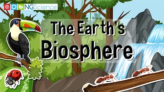 The Earths Biosphere [upl. by Ddot]