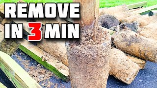 How to Remove Fence Post in 3 Minutes  How to Remove Concrete from the Ground [upl. by Josephina805]