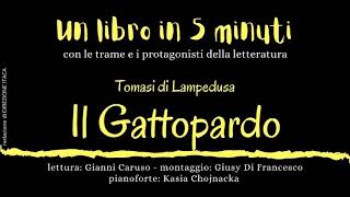 quotUN LIBRO 5 IN MINUTIquot  quotIl Gattopardoquot  romanzo di Giuseppe Tomasi di Lampedusa [upl. by Senhauser924]