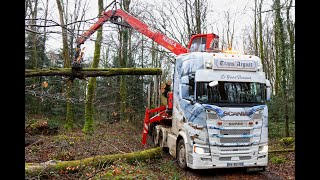 🌲😍 Un sublime Scania S580 de chez Trans Argoat au chargement de bois de chauffage [upl. by Varrian]