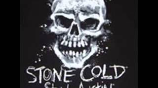 Stone Cold Steve Austin Classic Theme Song [upl. by Yelyab564]