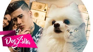 TÔ APAIXONADO NESSA MINA EM CACHORRÊS  MC Kevinho ft Gato DogZilla [upl. by Callery849]