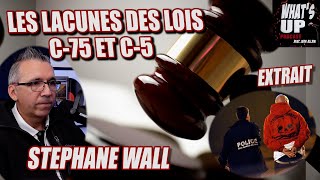 BANALISATION de la VIOLENCE ARMÉ  Stéphane Wall  Whats Up Podcast Extrait [upl. by Tuck]