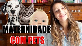 A MATERNIDADE E OS PETS  Como lidar  homenagem às mamães [upl. by Ocnarf]