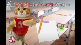 【猫ミーム】母の日似顔絵コンテストバリキャリで家にいない母の顔を忘れ、適当に描いたらトラブルになった話 [upl. by Bopp]