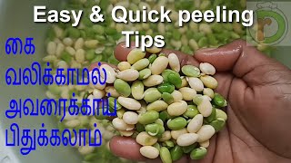 Easy amp Quick peeling Tips  Hyacinth Beans  Broad beans  Field Beans  Avarakkai pidhukkudhal [upl. by Missi]