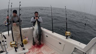 December Bluefin Tuna From Zero To HERO [upl. by Rorry]