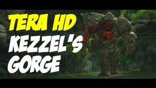 TERA HD Kezzels Gorge Explained MultiClass Point of View [upl. by Melli]