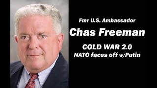 COLD WAR 20  NATO faces off with Putin  Chas Freeman fmr US ambassador [upl. by Airemahs]