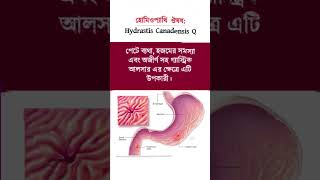 Homeopathy medicine hydrastis canadensis Q uses trending banglahealthtips homeopathy [upl. by Anallese]