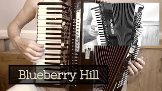 Accordion Blueberry Hill [upl. by Higley]