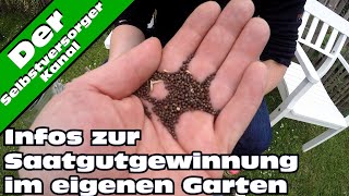 Infos zur Saatgutvermehrung im eigenen Garten [upl. by Netsyrk]