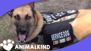 Watch service dog calm war vets PTSD reaction [upl. by Odnuges335]