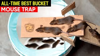 Best Mouse Trap Bucket AllTime  Rat Trap Homemade  How to set a Mousetrap [upl. by Alyehs]