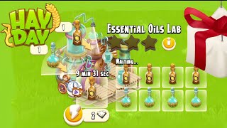 Hay Day  Essential Oils Lab Guide [upl. by Aynatan]