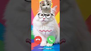 Mi Telephone Calling Effect 😂😂😂😂 Baby Cat Ringtone shorts cartoon ringtone [upl. by Ahsaekal]