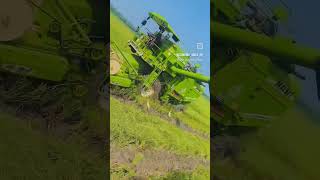 Harvester machine dhaan gehun kaatne wali 🌾🌾🌾 reels automobilereelsindia farmer trendingshorts [upl. by Camilla]