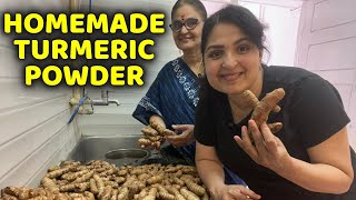 TURMERIC Powder Making Process  BEST WAY to Make Turmeric BEST HOMEMADE TURMERIC POWDER turmeric [upl. by Arihppas985]