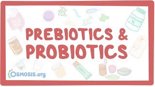 Prebiotics amp probiotics [upl. by Helmut]